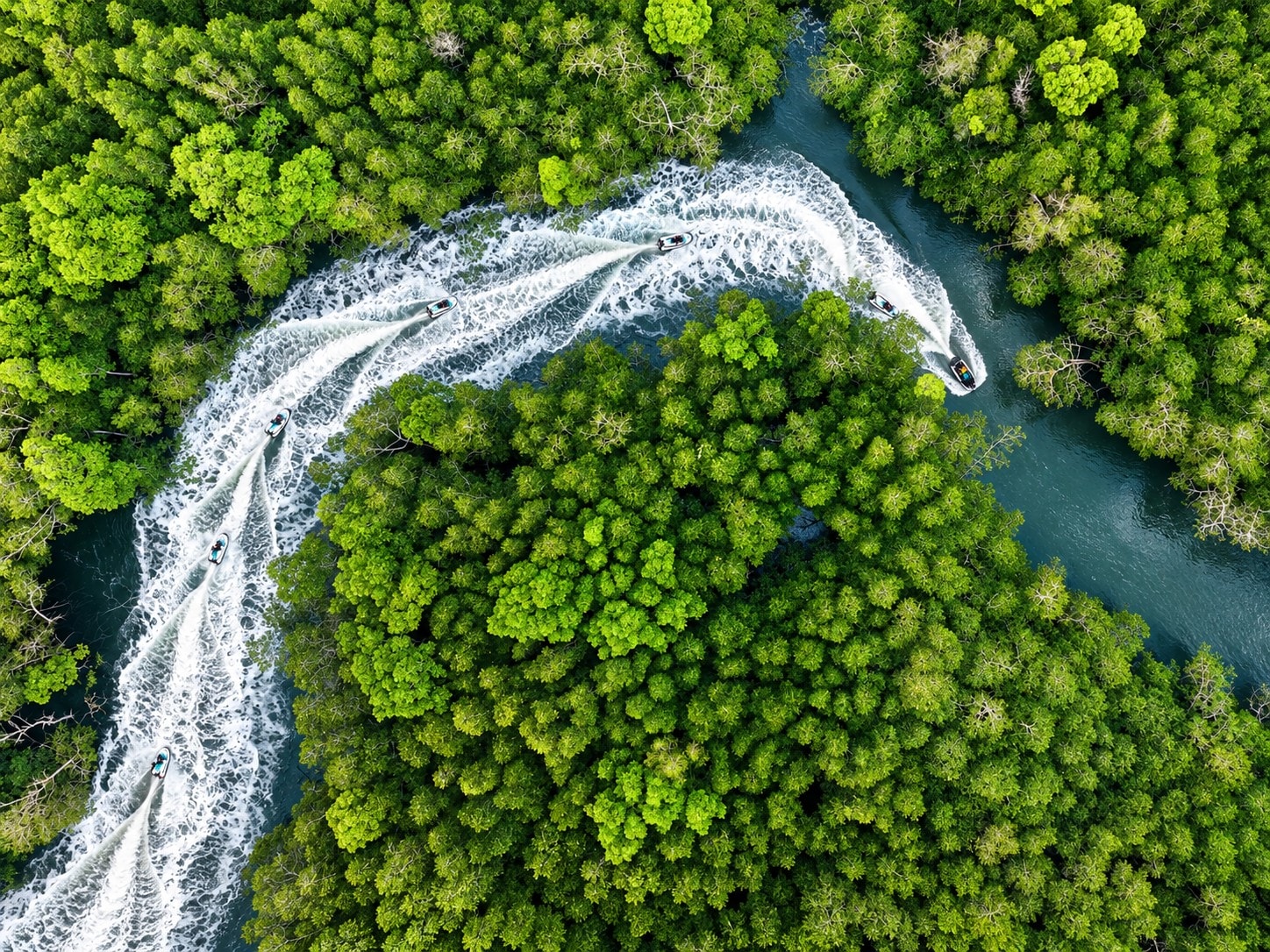 Carving the mangrove rivers